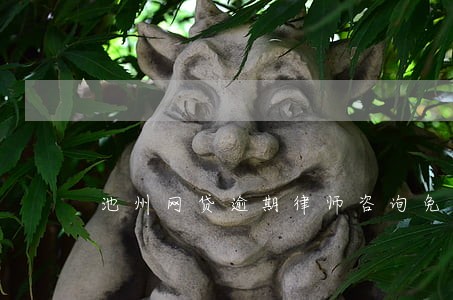 池州网贷逾期律师咨询免费