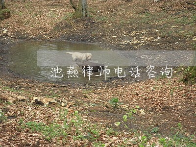 池燕律师电话咨询