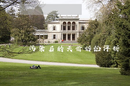 污染后的天价诉讼评析 污染后的天价诉讼评析