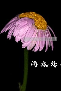 污水处理厂违法排污处罚 污水处理厂违法排污处罚