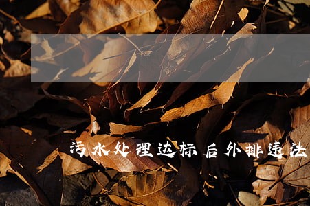 污水处理达标后外排违法不
