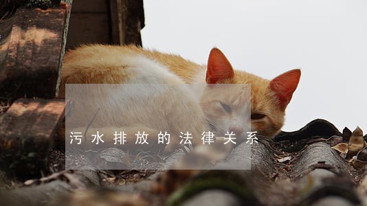 污水排放的法律关系 污水排放的法律关系