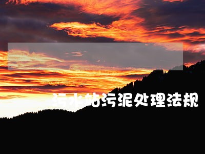 污水站污泥处理法规 污水站污泥处理法规
