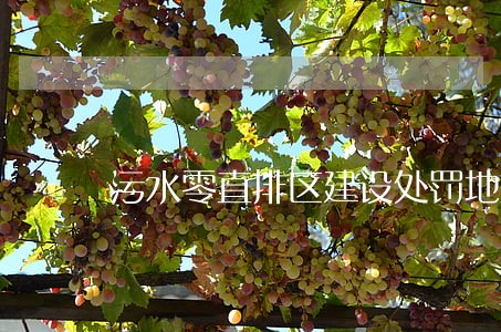 污水零直排区建设处罚地方性法规