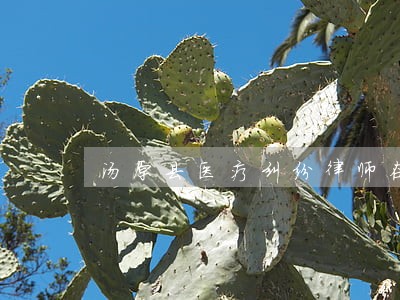 汤原县医疗纠纷律师在线免费咨询 汤原县医疗纠纷律师在线免费咨询