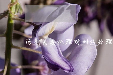 汤原县委托理财纠纷处理律师 汤原县委托理财纠纷处理律师