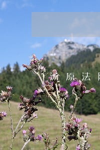 汤原法院发挥审判职能
