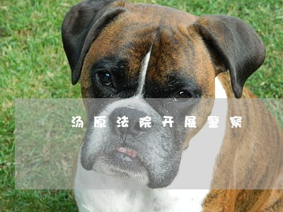 汤原法院开展警察 汤原法院开展警察