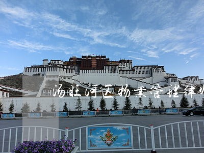 汤旺河区物业管理律师 汤旺河区物业管理律师