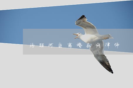 汤旺河区离婚在线律师 汤旺河区离婚在线律师
