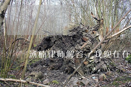 汤楠律师解答了我现在在无锡 汤楠律师解答了我现在在无锡