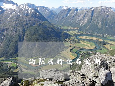 汤阴农行债务逾期