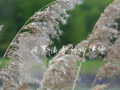 汨罗债务纠纷律师 汨罗债务纠纷律师