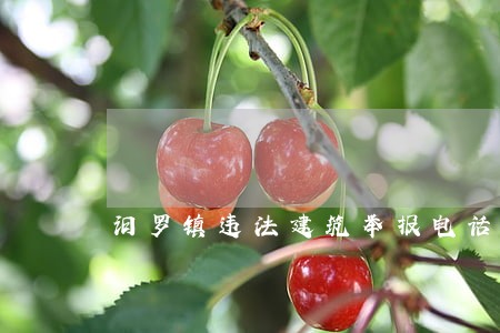 汨罗镇违法建筑举报电话 汨罗镇违法建筑举报电话
