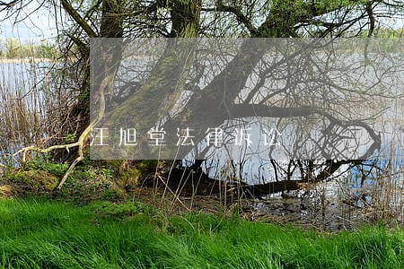 汪旭堂法律诉讼