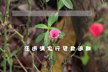 汪进满农行贷款逾期