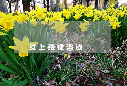 汶上法律咨询