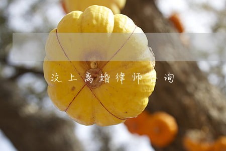 汶上离婚律师咨询 汶上离婚律师咨询