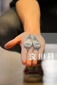 汶川县专业海关商检案件律师 汶川县专业海关商检案件律师