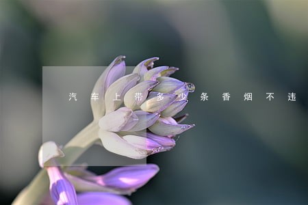 汽车上带多少条香烟不违法 汽车上带多少条香烟不违法