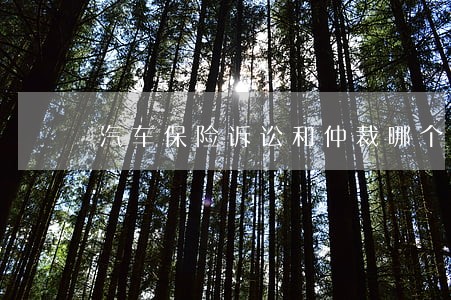 汽车保险诉讼和仲裁哪个好 汽车保险诉讼和仲裁哪个好