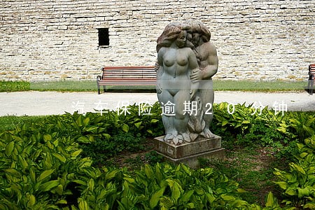 汽车保险逾期20分钟 汽车保险逾期20分钟