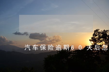 汽车保险逾期60天后怎么处理