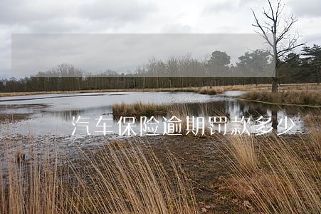 汽车保险逾期罚款多少 汽车保险逾期罚款多少