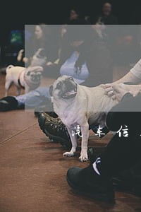 汽车信用卡逾期后果 汽车信用卡逾期后果