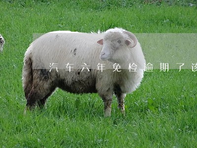 汽车六年免检逾期了该怎么办理 汽车六年免检逾期了该怎么办理