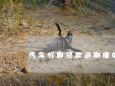 汽车分期贷款逾期催收涵范本 汽车分期贷款逾期催收涵范本