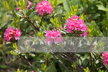 汽车加装行李框违法吗