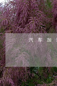 汽车加装金属格栅装饰违法吗 汽车加装金属格栅装饰违法吗