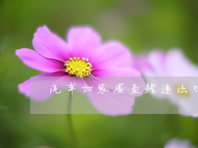 汽车加装鲨鱼鳍违法吗 汽车加装鲨鱼鳍违法吗