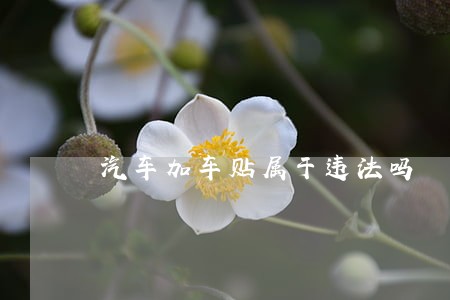 汽车加车贴属于违法吗