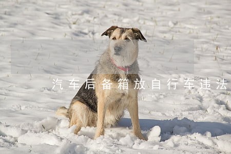 汽车后备箱放自行车违法么 汽车后备箱放自行车违法么