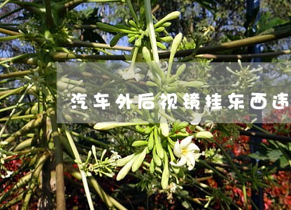 汽车外后视镜挂东西违法么 汽车外后视镜挂东西违法么