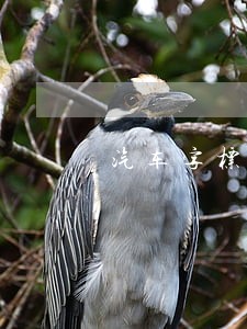 汽车字标外部凸出物法规要求