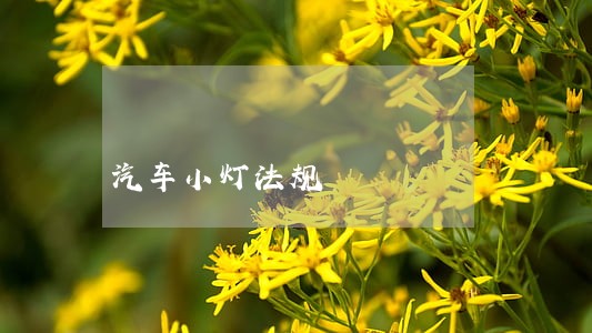 汽车小灯法规