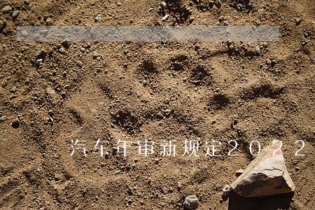 汽车年审新规定2022逾期 汽车年审新规定2022逾期