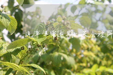 汽车年审逾期5天会被罚款吗
