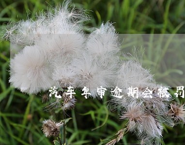 汽车年审逾期会被罚款吗 汽车年审逾期会被罚款吗