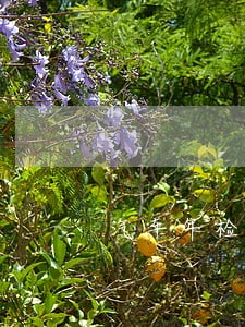 汽车年检逾期1天去哪办理 汽车年检逾期1天去哪办理