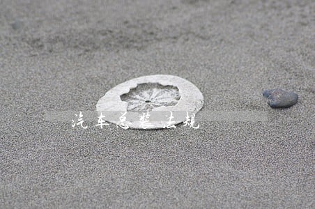 汽车总装法规 汽车总装法规