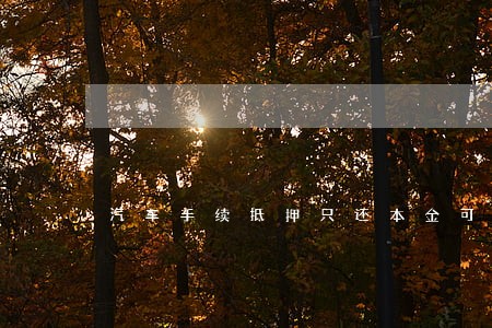 汽车手续抵押只还本金可以吗 汽车手续抵押只还本金可以吗