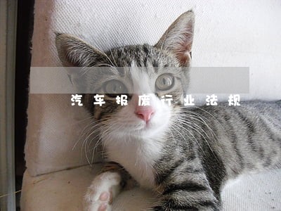 汽车报废行业法规 汽车报废行业法规