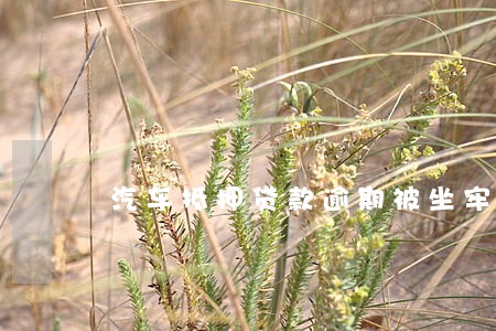 汽车抵押贷款逾期被坐牢吗 汽车抵押贷款逾期被坐牢吗