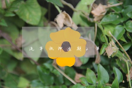 汽车抵押逾期2年
