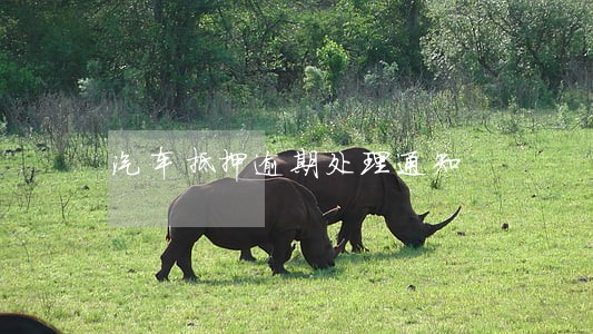 汽车抵押逾期处理通知 汽车抵押逾期处理通知