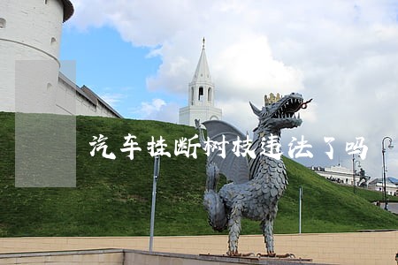 汽车挂断树枝违法了吗 汽车挂断树枝违法了吗